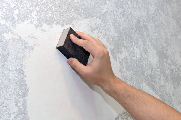 Mold Remediation for Vacation Homes in Dunbar, SC