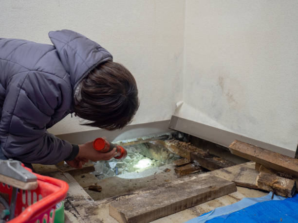 Best Environmental Consulting for Mold Prevention  in Dunbar, SC