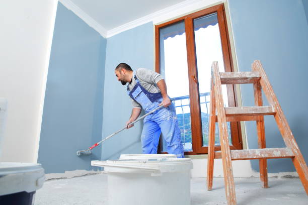 Best Mold Removal for HVAC Installations  in Dunbar, SC