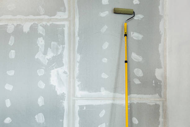 Professional Mold Removal in Dunbar, SC