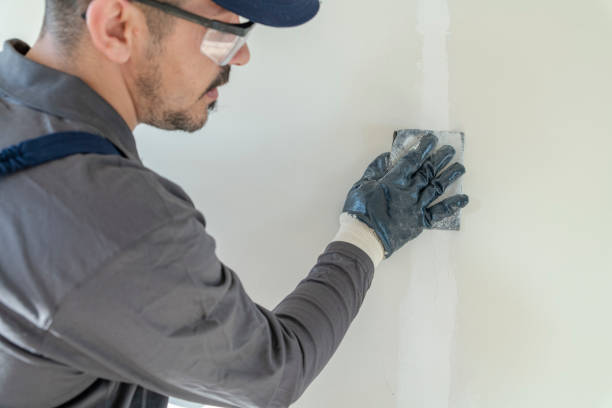 Best Asbestos and Lead Testing During Mold Inspection  in Dunbar, SC