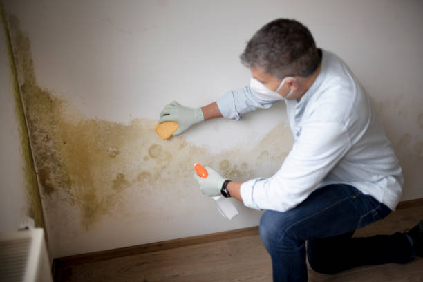 Best Airborne Mold Testing  in Dunbar, SC