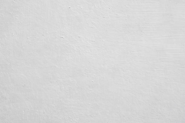 Mold Odor Removal Services