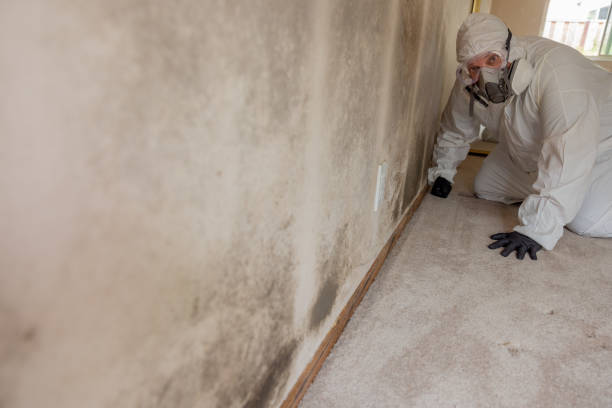 Best Mold Documentation for Insurance Claims  in Dunbar, SC