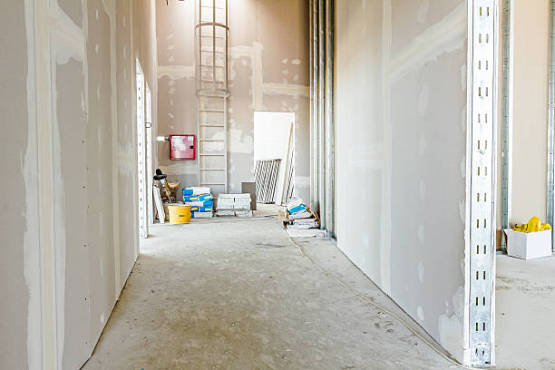 Professional Mold Removal in Dunbar, SC