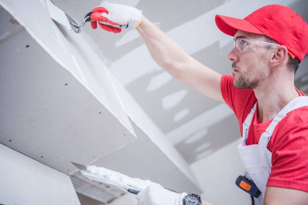 Best Mold Remediation for Healthcare Facilities  in Dunbar, SC