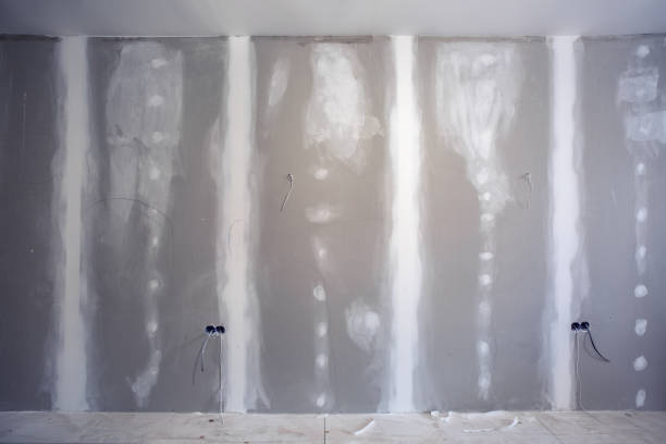 Best Attic Mold Removal  in Dunbar, SC